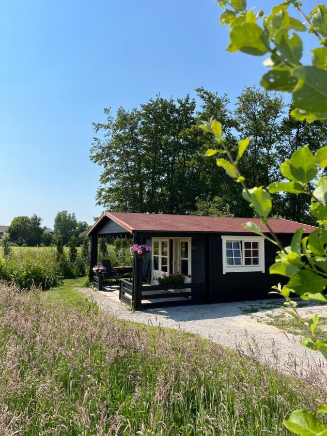 Bed and Breakfast Fields 1216 Zwaanshoek Esterno foto