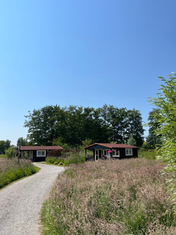 Bed and Breakfast Fields 1216 Zwaanshoek Esterno foto